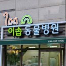 이솝동물병원 이미지
