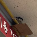 울진대게집일출 이미지