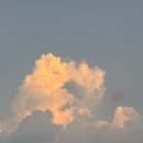 롯데리아 아중점 | 분명 하고싶은 제목이 있었는데 기억 안나서 생각나면 바꿀 예정