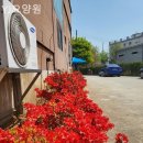 YJ요양원 이미지