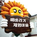 체험마을꺼리 이미지