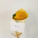 송이와다발 이미지