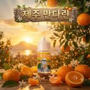 제이코리아 | [액상 리뷰] 제주도의 싱그러움을 그대로! 제이코리아 ‘제주만다린’ 솔직 후기