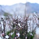 금광리 공중화장실 이미지