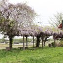 문암3리 이미지