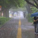 치폴레옹 이미지