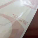 플라이하니