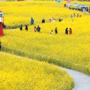 빛가람전망대 이미지