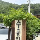 구례하수구 | 구례 숙소 수풀림 촌캉스 돌판삼겹살 2번자리 1-3 방 후기 조식밤파이