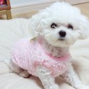 지림 이미지