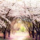 도심건강길 5길 이미지