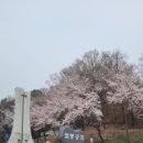 경충대로2697번길, 2709번길 이미지