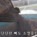 (주)엠이지바이오 네이버블로그