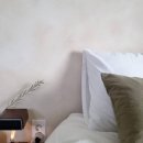 스테이 무림 이미지