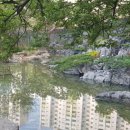 송탄이치과의원 이미지