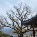 이수목장 이미지