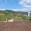 탐진농장 이미지