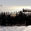 실안소공원 이미지