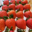 디저트 인 이미지