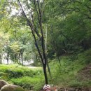 꾸버가(주)