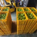 대신면행정복지센터 이미지