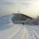 [2월8일 일요일]대관령"고루포기산,안반데기 트레킹" 이미지