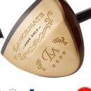 파크골프(중급) 이미지