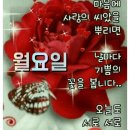 02월 19일 월요일 이미지