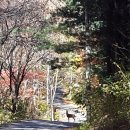 치악산자연휴양림 이미지