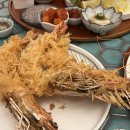 카츠소라 이미지