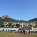 비금초등학교 이미지