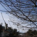 잠곡초등학교 이미지