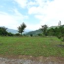 산애 캠핑장 이미지