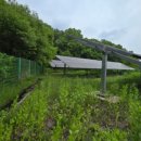 이안태양광발전소 이미지