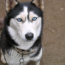 허숙희네 이미지