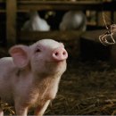 가사농장 이미지