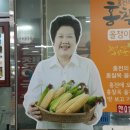 대운올챙이 이미지