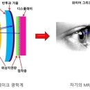 파버나인 (177830) 이미지