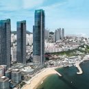 하단동175 이미지