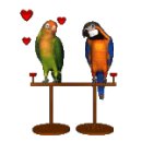 금송약국 이미지