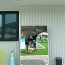 경기도 포천 애견동반 글램핑 &lt;더히로플레이그라운드&gt; 내돈내산 방문 후기!