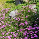 산수유자연휴양림 이미지