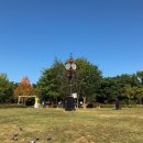 서초구립 잔디마을 경로당 | 서래마을 몽마르뜨공원 주차 / 후기 @서울 산책하기좋은 곳