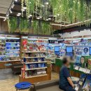 인주민약국 이미지