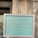 웨시커피 | 부산 온천장 모모스 커피 무수히도 많이 갔던 최고의 핸드드립 카페 베이커리 후기