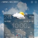 카피아 이미지
