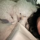 오킴스오성형외과의원 | 오킴스오성형외과에서 얼굴상처 봉합하고 왔어요(상해)