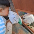 부안종로약국 이미지