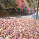 임실고등학교 이미지