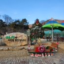 주일학교 동물원 나들이 이미지